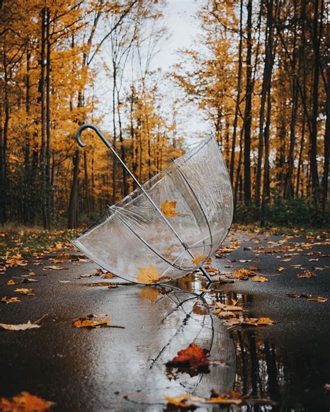 Rainy Days 🍁 Autumn Scenery Fall Pictures Autumn Photography