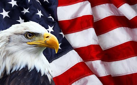 American Flag And Bald Eagle Photo Symbols Of North