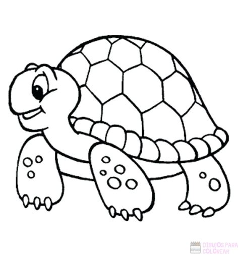 磊【2750】los Mejores Dibujos De Tortugas Para Colorear ⚡️ Dibujos Para
