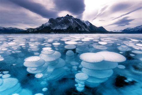 Abraham Lake And Its Enigmatic Ice Bubbles Imperidox