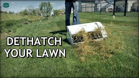 If you tie yourself to some arbitrary schedule, you won't be mowing when your lawn actually needs it. How To DETHATCH And FIX Your LAWN - YouTube