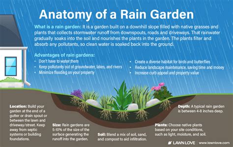6 Ways To Get Rid Of Standing Water Lawn Care Blog Lawn Love