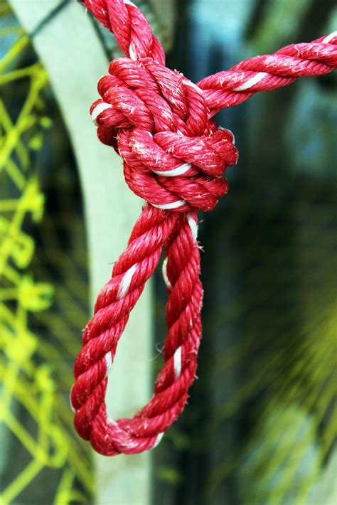 Red Rope Laughing Lobster Photography
