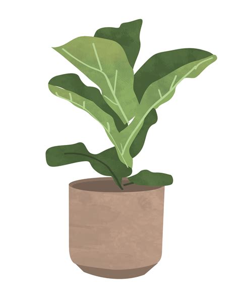 Aesthetic Plant Png Isolated Photos Png Graphic