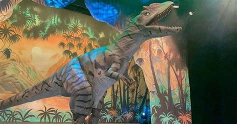 Brighton Dinomania Dinosaur Show To Bring T Rex Raptors Triceratops