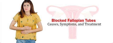 Blocked Fallopian Tubes Causes Symptoms And Treatment