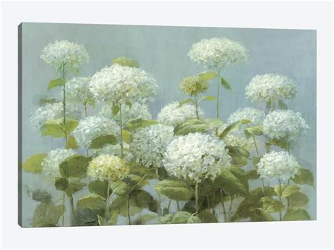 White Hydrangea Garden Canvas Wall Art By Danhui Nai Icanvas