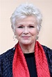 Julie Walters Hints She's Retired From Acting – But Reveals The One ...