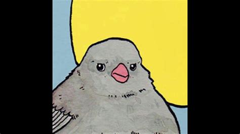 Annoyed Bird Meme Template Singing Crow Youtube