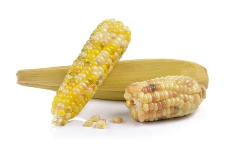 Premium Photo Waxy Corn On White Wall