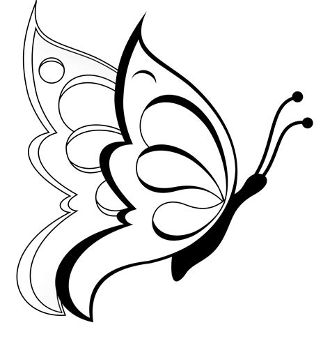 Simple Butterfly Drawing At Getdrawings Free Download