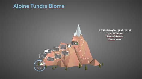 Alpine Tundra Biome By Carra Wolf