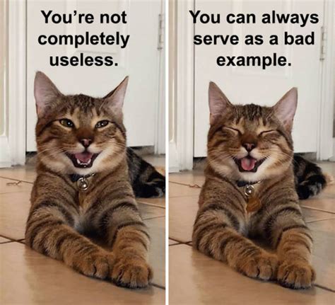 In 2015, select all 17 interviewed buckley about the comic's impact. This Cat Is Now The Symbol Of Dad Jokes - Barnorama