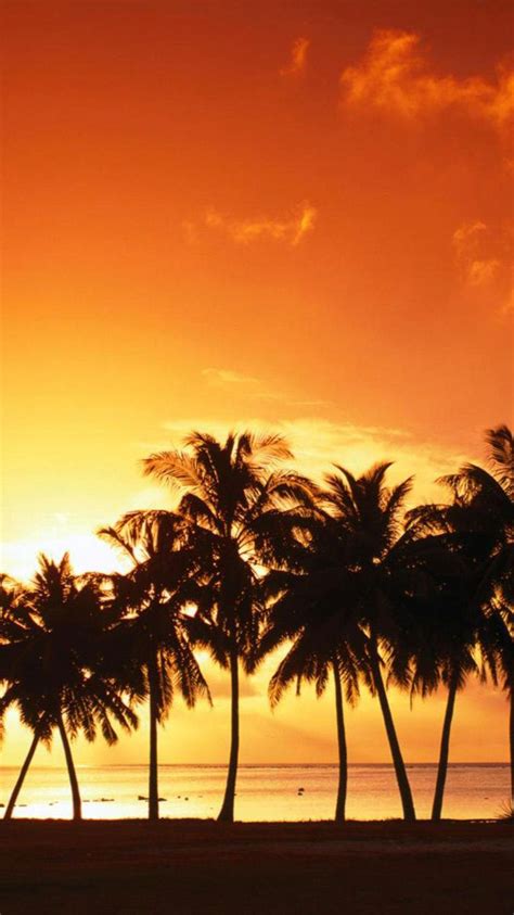 Tropical Sunrise Wallpapers Top Free Tropical Sunrise Backgrounds