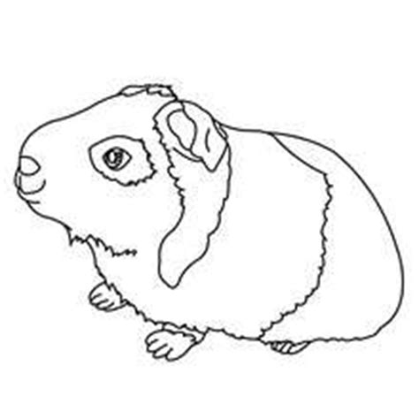 Klick hier um ausmalbild mandala spiele gratis zu spielen auf spielkarussell.de: How to draw EASY ANIMALS - PINK PIG