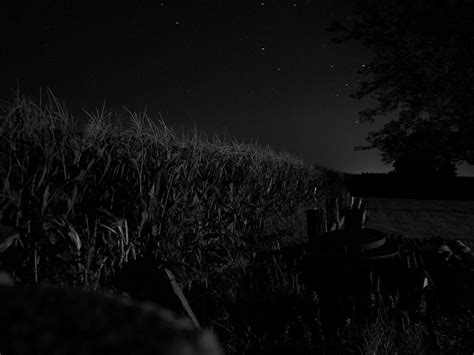 Corn Field At Night July 20 2007 By Murphy R Flickr Rpics