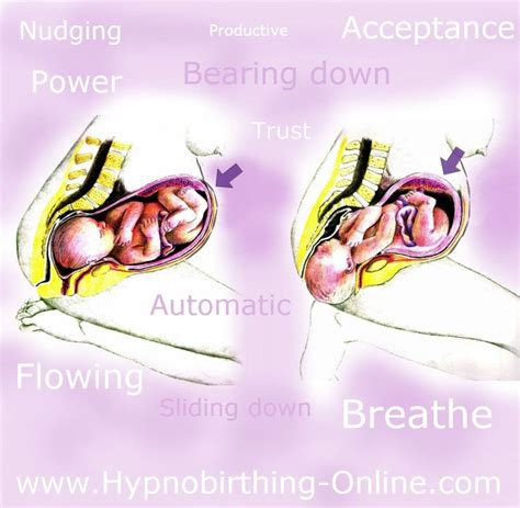 2nd Stage Birthing Hypnobirthing Online Hypnobirthing Birth