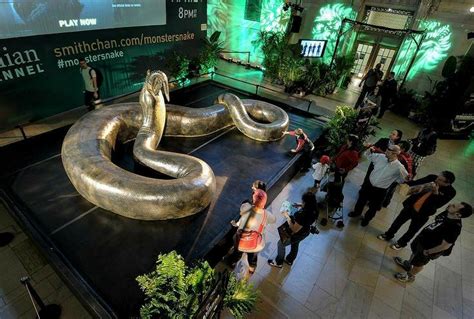 Titanoboa Cerrejonensis The Largest Known Snake Now Extinct The