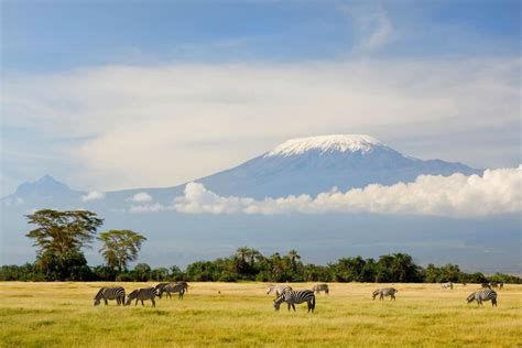 Volunteering In Kilimanjaro Moshi Town Volunteer Encounter