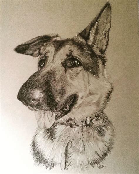 Drew This Last Christmas For A Friend A Drawing Of Her Dog As A T