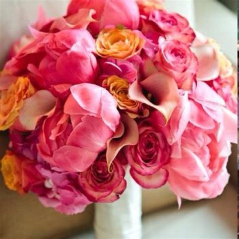 Wool is produced by sheep, alpacas, and llamas. Pin on Places and Events