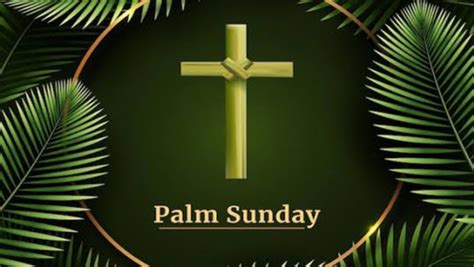 Agency News Know About Holy Week And Significance Of Palm Sunday