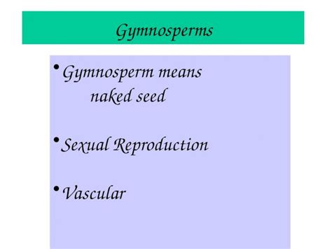 Gymnosperm Reproduction