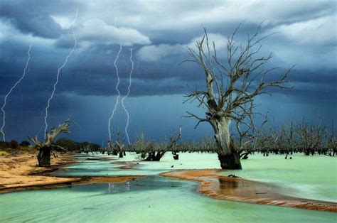 Lightning Storm Dead Trees Beach Nature Wallpapers Hd