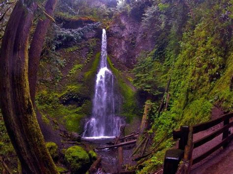 6 Enchanting Waterfalls Around Olympic National Park