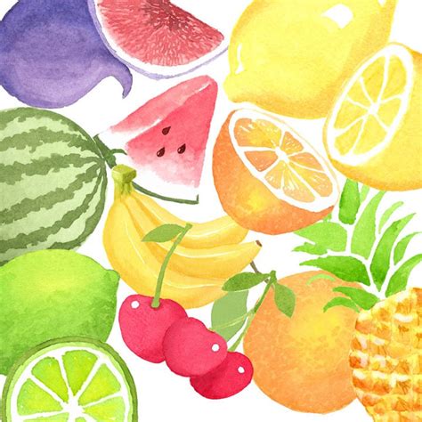 Watercolor Summer Fruits Clipart Set Citrus Fruit Etsy Hong Kong
