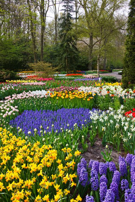 Colorful Flower Garden Free Stock Photo Public Domain Pictures