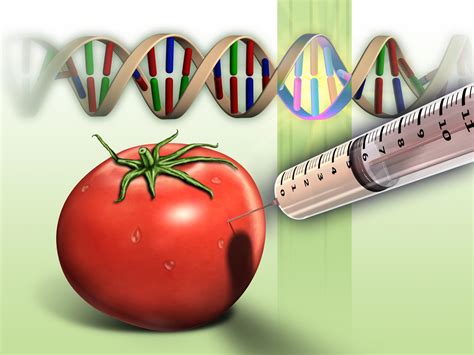 Californias Proposition 37 Labeling Genetically Modified Foods