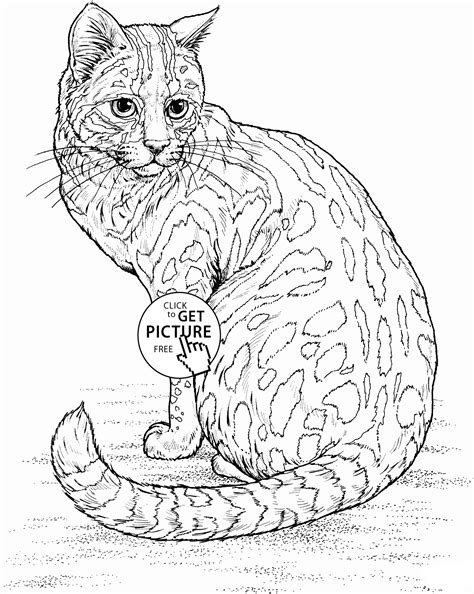 With cats online coloring children will have full potential of fun and creativity. Realistic Cat coloring page for kids, animal coloring ...