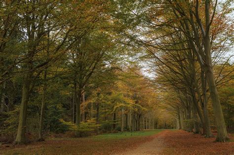 Best Autumn Walks In The Uk In The Prettiest Spots Of The British