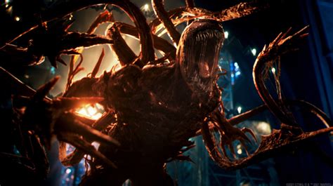 Venom Tempo De Carnificina Sony Pictures Brazil