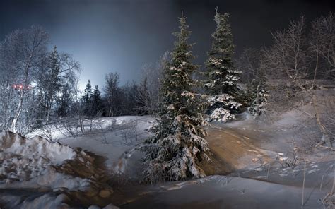 Night Landscape Snow Ice Winter Trees Nature Wallpaper Coolwallpapersme
