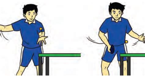 Teknik pukulan tenis meja apa saja yang harus setiap pemainnya ketahui? Gambar Teknik Forehand Tenis Meja - Design Rumah Minimalisss