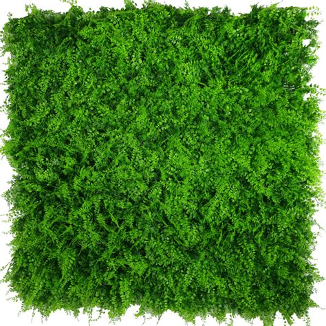Mediterranean Fern Vertical Garden / Green Wall UV Resistant 1m x 1m png image
