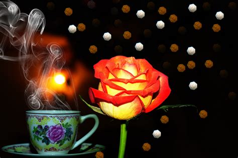 Kostenlose Foto Cafe Kaffee Süß Morgen Blume Blütenblatt Rose