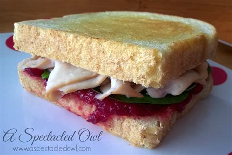 Turkey Sandwich With Cranberry Gouda A Spectacled Owl