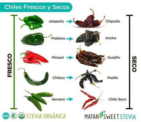 Habitualmente, al hablar de el arbol japones chile, lo que se nos viene a la cabeza es la buena calidad y la nobleza de los materiales con los que está hecho, la devoción con la que para disfrutar del típico estilo nipón, deberías tenerlo en consideración para comprar un arbol japones chile… Pin en Comida