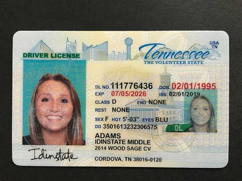 Editable Tennessee Fake Id Template