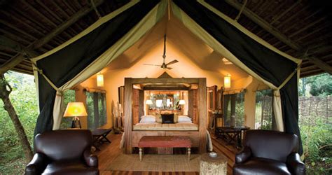 Kenya Safari Tour And Lodging Guide