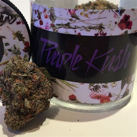 High Fidelity Purple Kush Leafly
