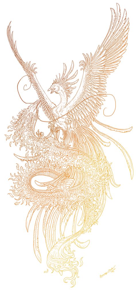 Phoenix and dragon lineart by Sunima on deviantART ...