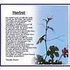 Herbstgedicht :: eigenmensch.as