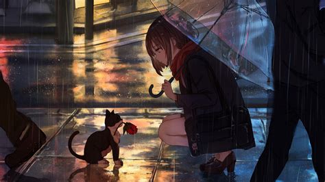 Wallpaper Girl Kitten Flower Anime Street Rain Anime Girl In The