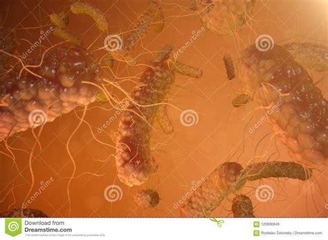 3d Illustration Viruses Bacteria Cell Infected Organism Decreased