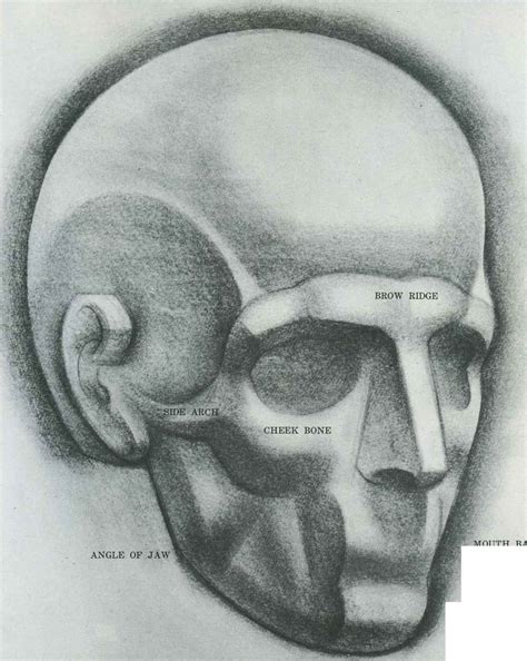 Head Drawing The Human Head Drawing Heads Human Anatomy Drawing