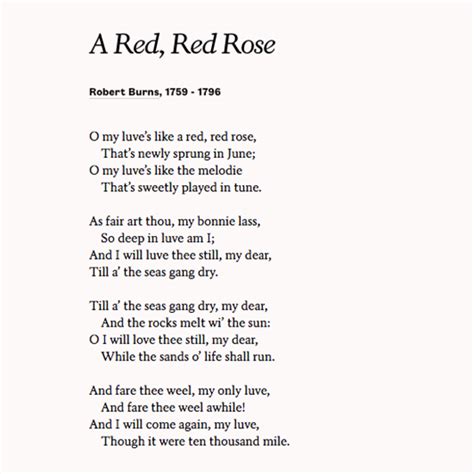 Share A Red Red Rose By Robert Burns To Expand On Your Love For Your